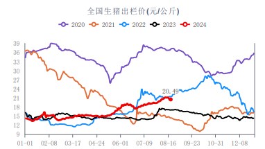 生猪需求或逐渐好转 价格宽幅震荡运行