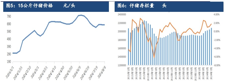 受产能持续去化利好支撑 生猪远月合约仍存较强预期