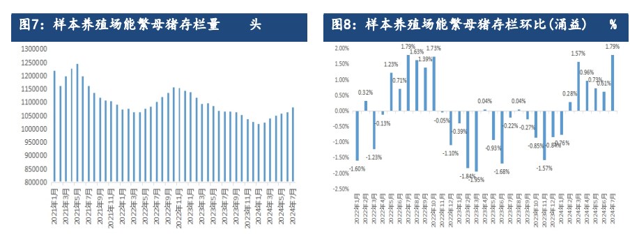 受产能持续去化利好支撑 生猪远月合约仍存较强预期