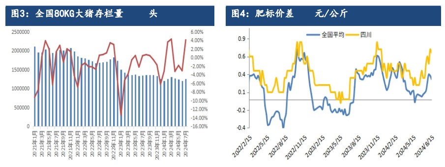 受产能持续去化利好支撑 生猪远月合约仍存较强预期