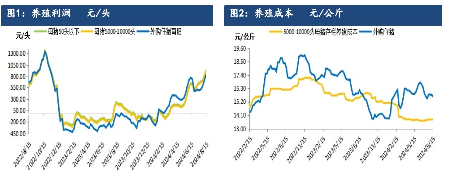 受产能持续去化利好支撑 生猪远月合约仍存较强预期