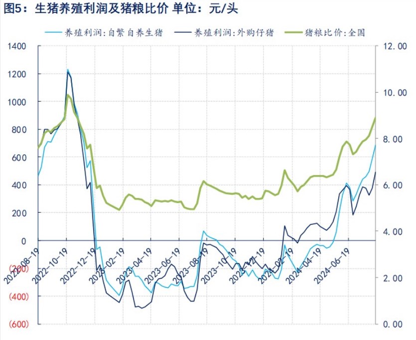 生猪供增需减下期现价格回落 短期正套趋势被打破