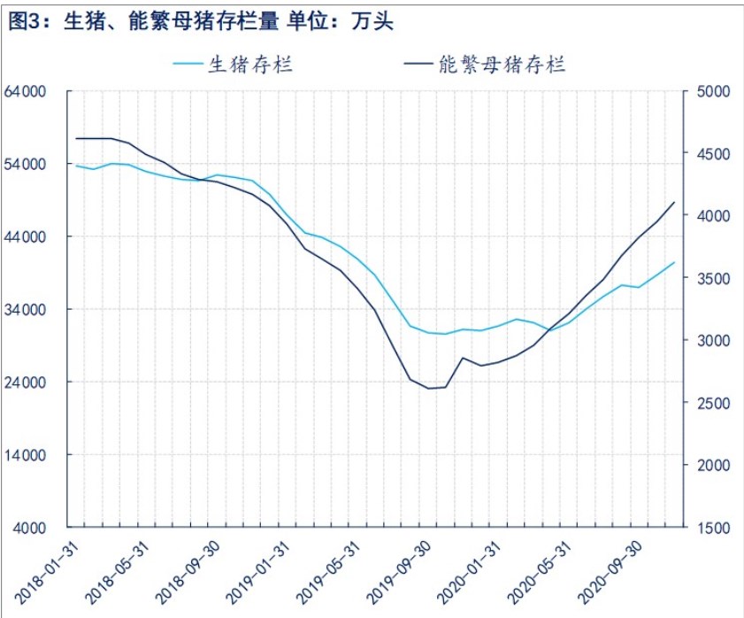 生猪供增需减下期现价格回落 短期正套趋势被打破