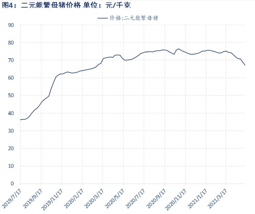 生猪供增需减下期现价格回落 短期正套趋势被打破