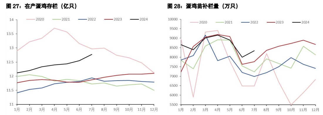 鸡蛋维持反弹抛空思路 生猪现货驱动暂时向下