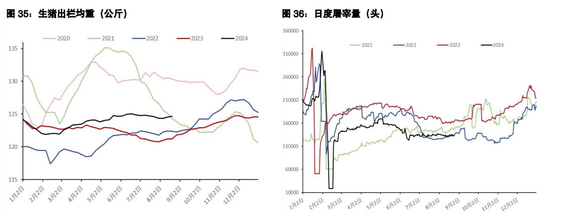 鸡蛋维持反弹抛空思路 生猪现货驱动暂时向下