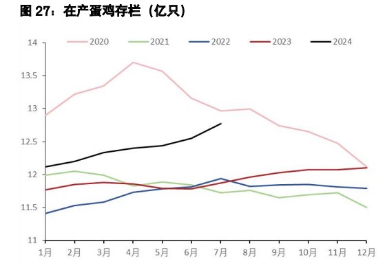 鸡蛋维持反弹抛空思路 生猪现货驱动暂时向下