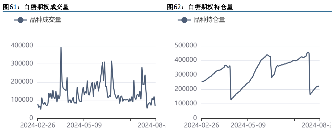 近日国际糖价超跌反弹 郑糖反弹力度可能有限