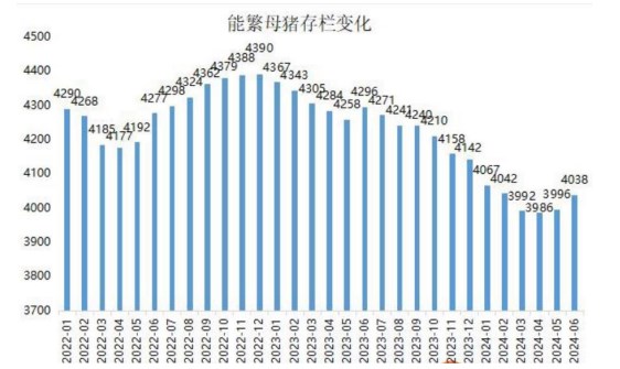 餐饮多以冻品替代为主 生猪屠宰开工率徘徊在低位