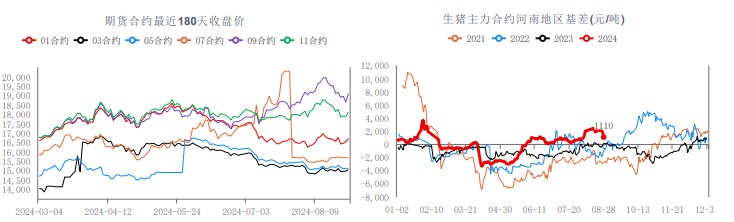 消费端或逐渐好转 生猪短期宽幅震荡运行