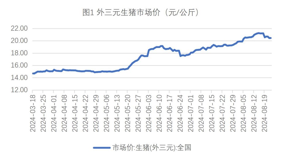 生猪市场情绪较为坚挺 玉米渠道库存持续消化