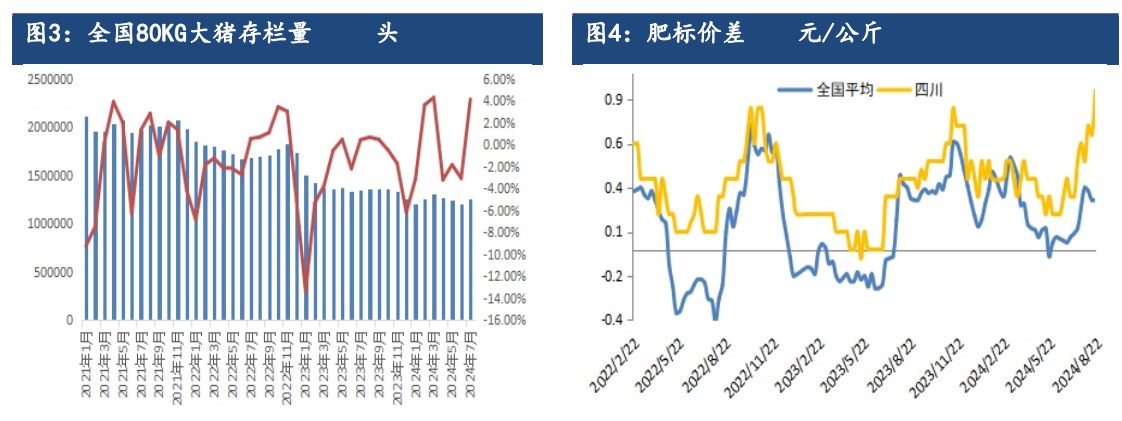 生猪终端消费稍有提振 期价跟随现货偏强为主