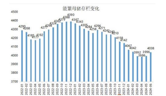 学校返校利好支撑显现 生猪价格短期偏弱运行