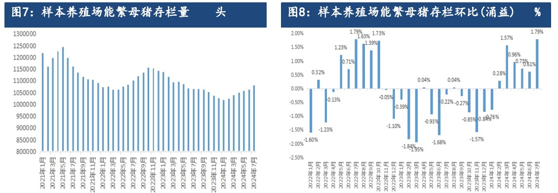 生猪终端消费稍有提振 期价跟随现货偏强为主