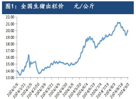 生猪终端消费稍有提振 期价跟随现货偏强为主