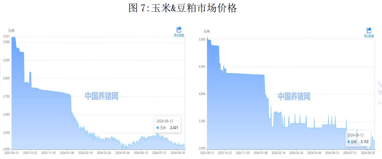 生猪市场供需格局较为宽松 盘面大幅回落