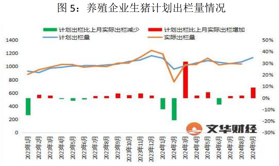 生猪市场供需格局较为宽松 盘面大幅回落