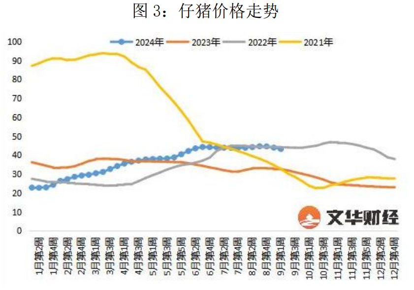 生猪市场供需格局较为宽松 盘面大幅回落