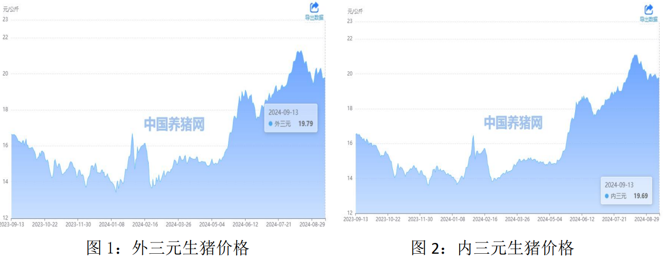 生猪市场供需格局较为宽松 盘面大幅回落