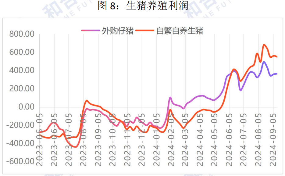 生猪市场供需格局较为宽松 盘面大幅回落