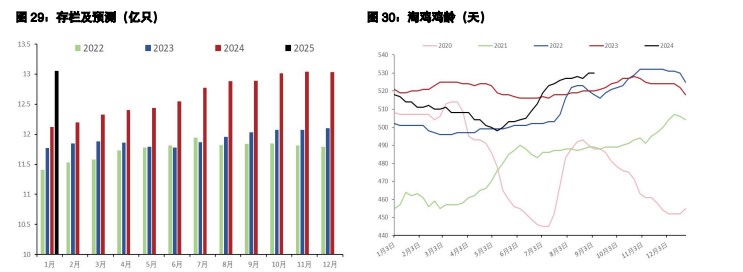 鸡蛋内销需求仍较好 生猪供应有小增预期