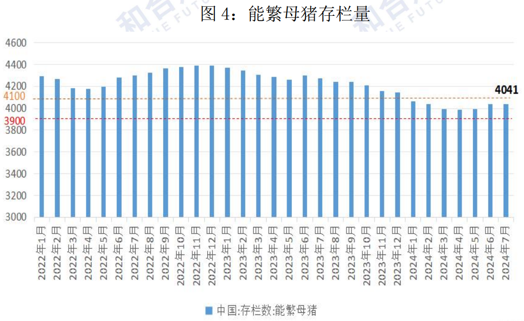 生猪市场供需格局较为宽松 盘面大幅回落