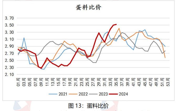 鸡蛋现货价格仍有支撑 节后或将面临震荡调整