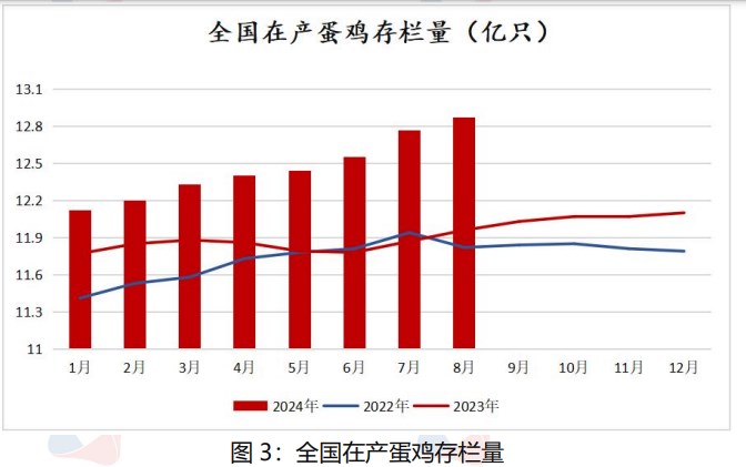 鸡蛋现货价格仍有支撑 节后或将面临震荡调整