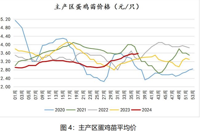 鸡蛋现货价格仍有支撑 节后或将面临震荡调整