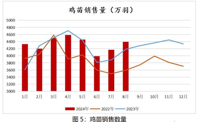 鸡蛋现货价格仍有支撑 节后或将面临震荡调整