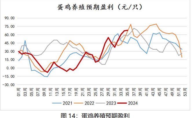 鸡蛋现货价格仍有支撑 节后或将面临震荡调整