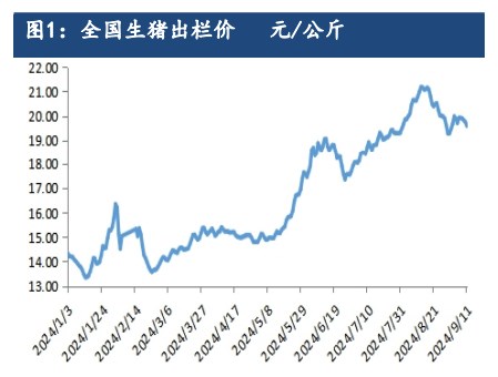 生猪产能持续去化利好支撑 远月合约仍存较强预期