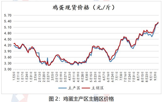 鸡蛋现货价格仍有支撑 节后或将面临震荡调整