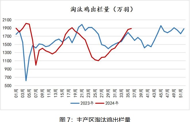 鸡蛋现货价格仍有支撑 节后或将面临震荡调整