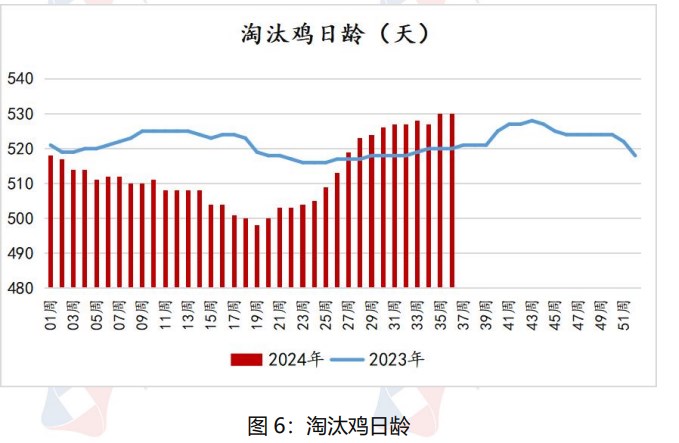 鸡蛋现货价格仍有支撑 节后或将面临震荡调整