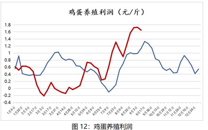 鸡蛋现货价格仍有支撑 节后或将面临震荡调整