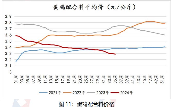 鸡蛋现货价格仍有支撑 节后或将面临震荡调整