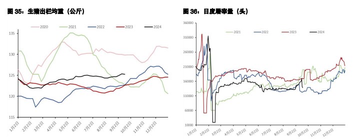 鸡蛋市场需求稳定 生猪供应端压力持续释放