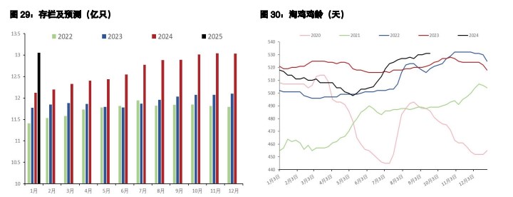 鸡蛋市场需求稳定 生猪供应端压力持续释放