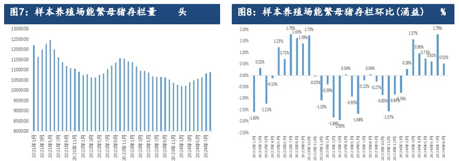 生猪受需求提升利好支撑 远月合约仍存偏强预期