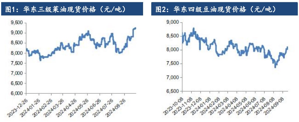 宏观与基本面共振 油脂价格再创月度新高