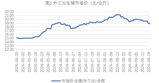 生猪需求释放无法匹配供应增量 玉米收购价延续弱势