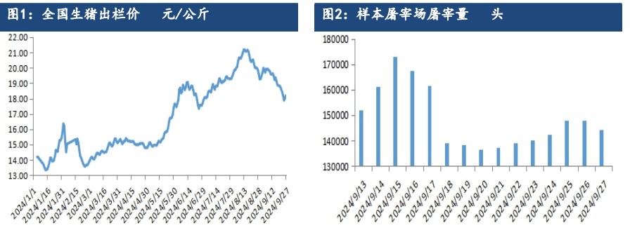 生猪受需求提升利好支撑 远月合约仍存偏强预期