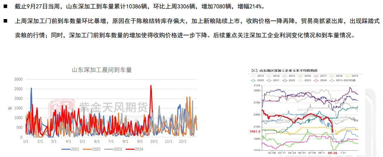 上周玉米主力合约探底反弹 关注2411合约反弹力度