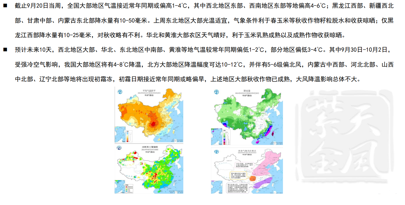 上周玉米主力合约探底反弹 关注2411合约反弹力度