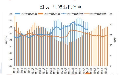 生猪供应或因二育入场后移 价格短期震荡运行