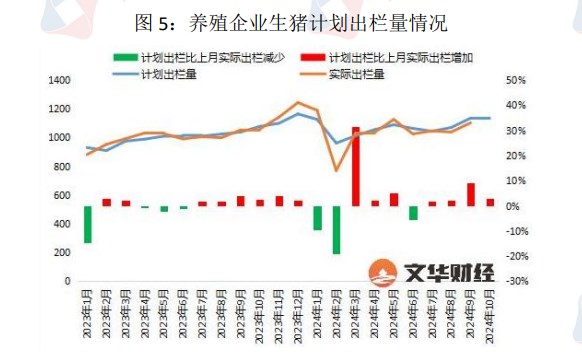 生猪供应或因二育入场后移 价格短期震荡运行