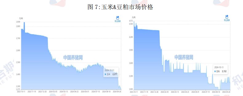 生猪供应或因二育入场后移 价格短期震荡运行