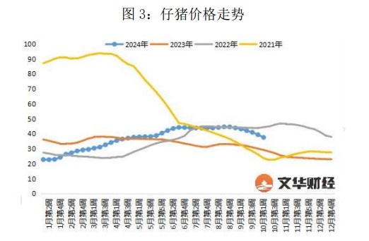 生猪供应或因二育入场后移 价格短期震荡运行