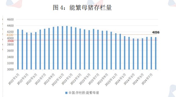 生猪供应或因二育入场后移 价格短期震荡运行